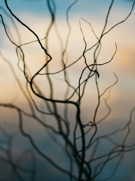 5. Politische Kommunikation mit psychologischer Tiefe