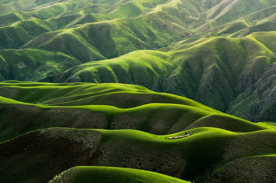 greenwashing1